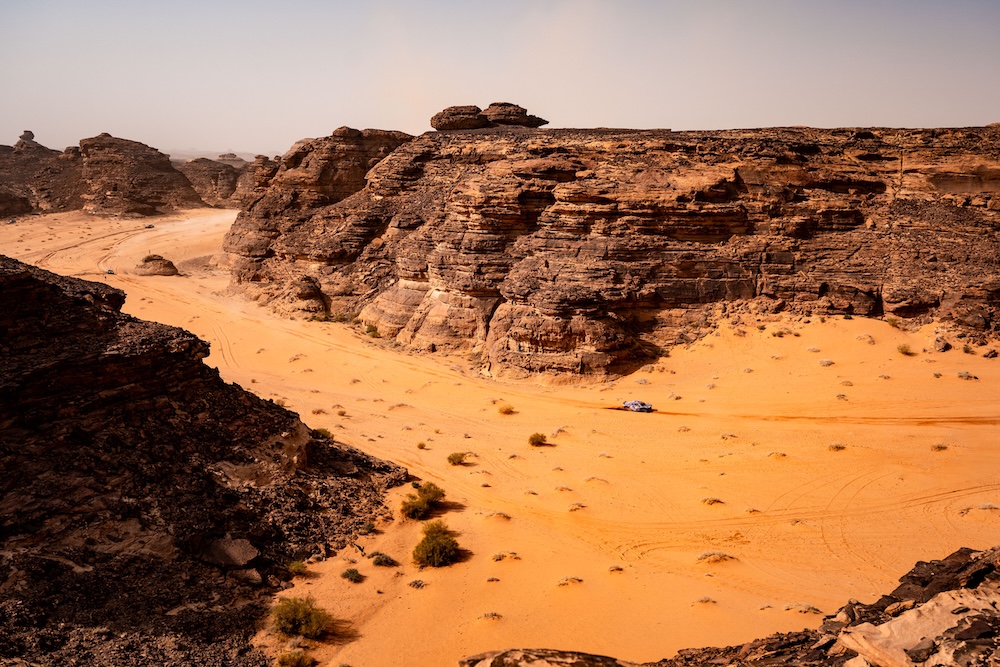 DAK26 252 MatteoGebbia Edophoto GBB 8223