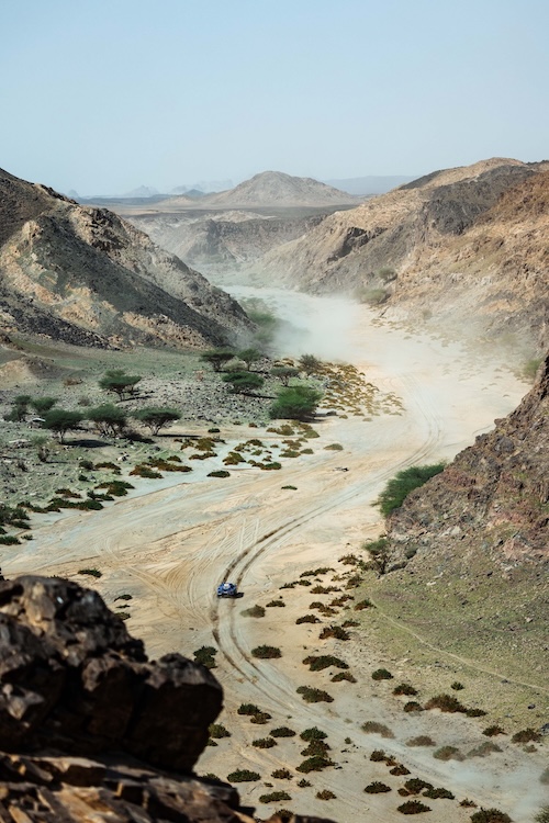 DK26 EdoPhoto 252 HelenaClancy 9487